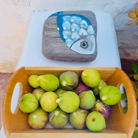 Apartman Santa Maria Traditional Stone Szánda María