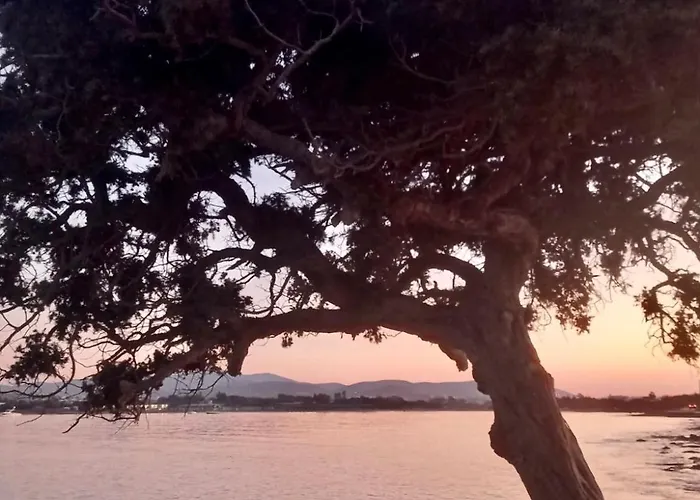Lejlighed Santa Maria Traditional Stone Santa Maria (Paros)