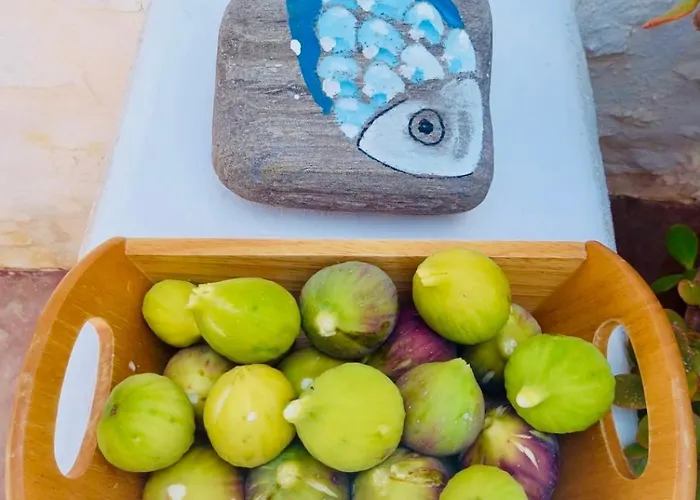 Lejlighed Santa Maria Traditional Stone Santa Maria (Paros)