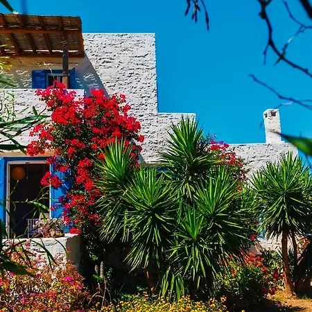 Santa Maria Traditional Stone * Santa Maria (Paros)